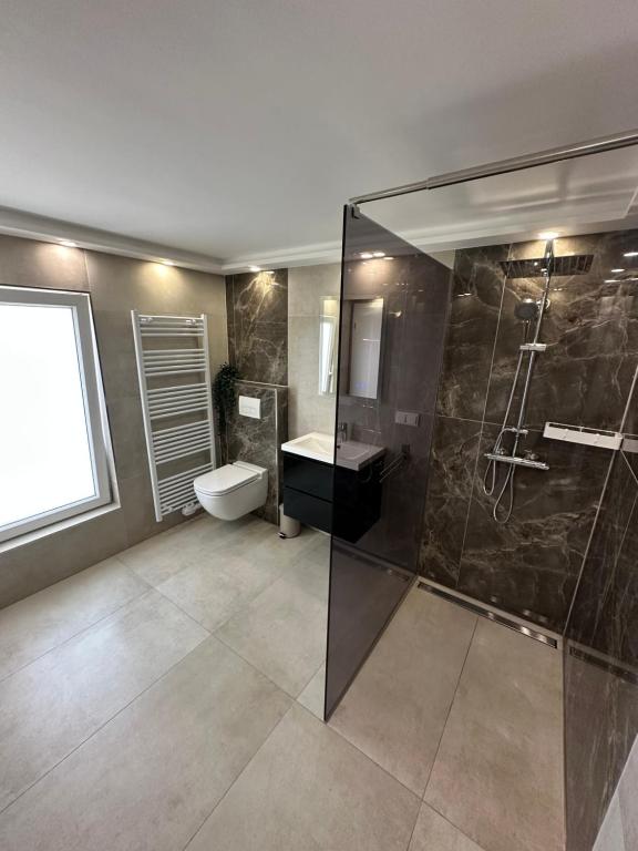 a bathroom with a shower and a toilet and a sink at LaTerrazzaA1 in Hamm