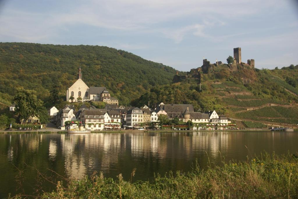 eine kleine Stadt am Ufer eines Sees in der Unterkunft Beilsteiner Ferienwohnungen in Beilstein