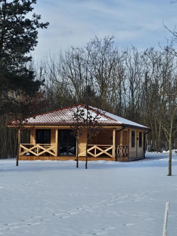 a log cabin in the snow with trees at Poleska Przystań in Urszulin