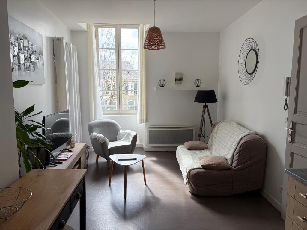 a living room with a couch and a chair at centre Pau proche Chateau et gare 33 m2 in Pau