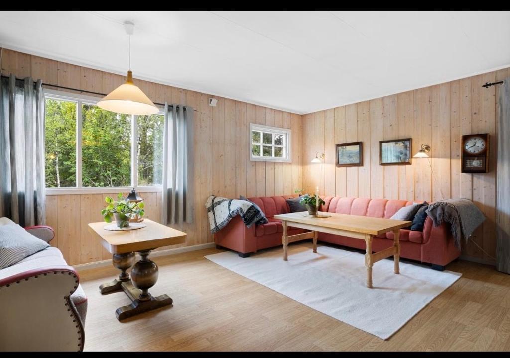 a living room with a couch and a table at Fjellhytte Rauland in Austbø