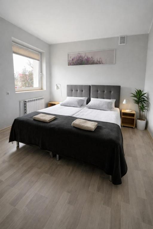 a bedroom with a large bed with two pillows on it at Apartamenty Adabet in Kępno