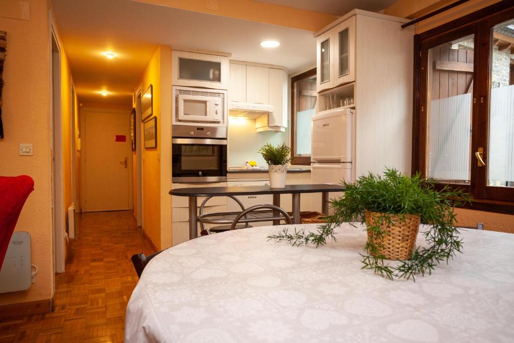 a kitchen with white cabinets and a table with plants at Casa Celia by CARDI SUITES in Panticosa