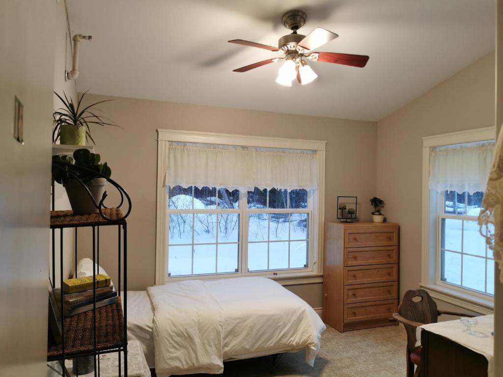 a bedroom with a bed and a ceiling fan at EcoSun Hostel in Montague