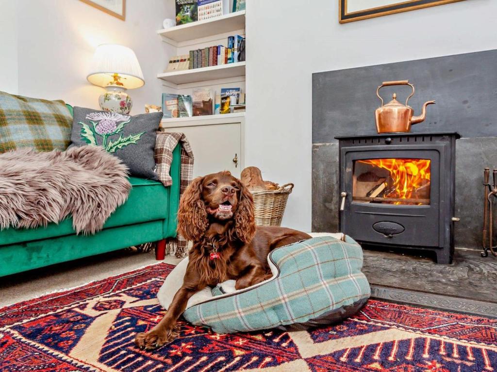a dog sitting on a pillow in a living room with a fireplace at 1 Bed in Elgin oc-94281 in Elgin