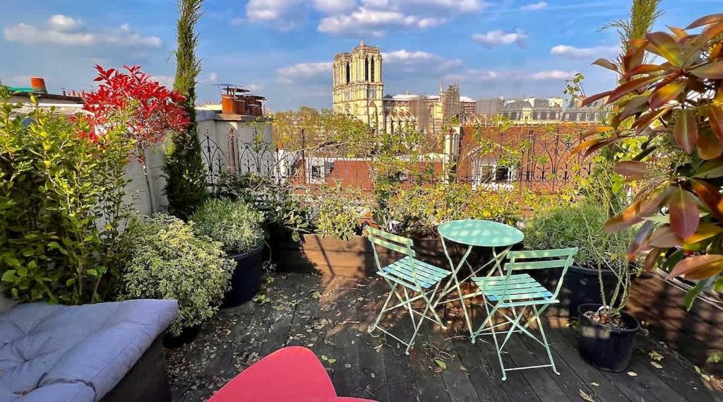 Rooftop Garden Triplex With AC Over Notre - Dame