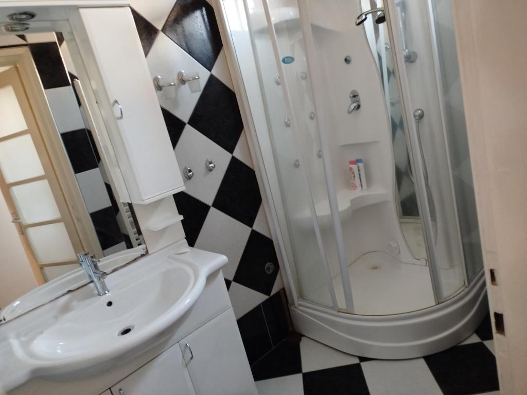 a bathroom with a shower and a sink at Apartman Centar 1 in Banja Luka