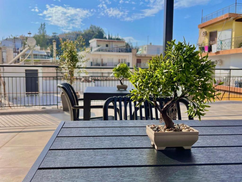New Comfy and Sleek Apartments in the Center oF Athens