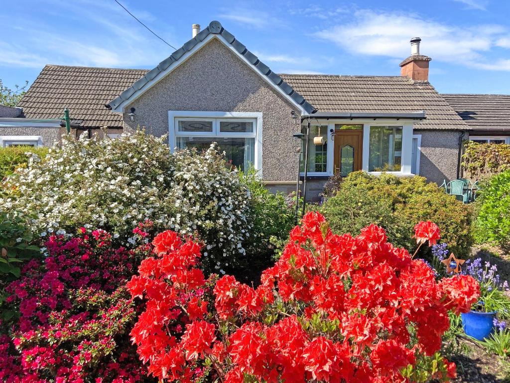 a house with flowers in the front yard at Jessamine Cottage in Blairgowrie