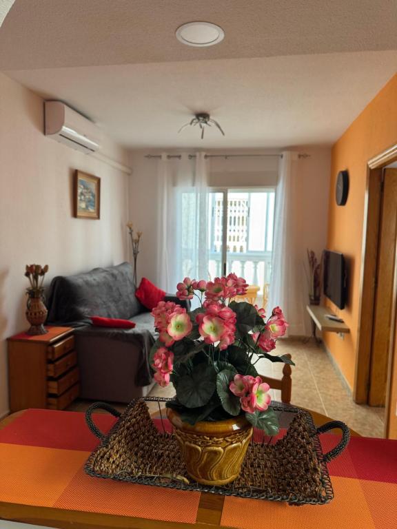 a living room with a table with a potted plant on it at Apartment Vicente casa 119 in Torrevieja