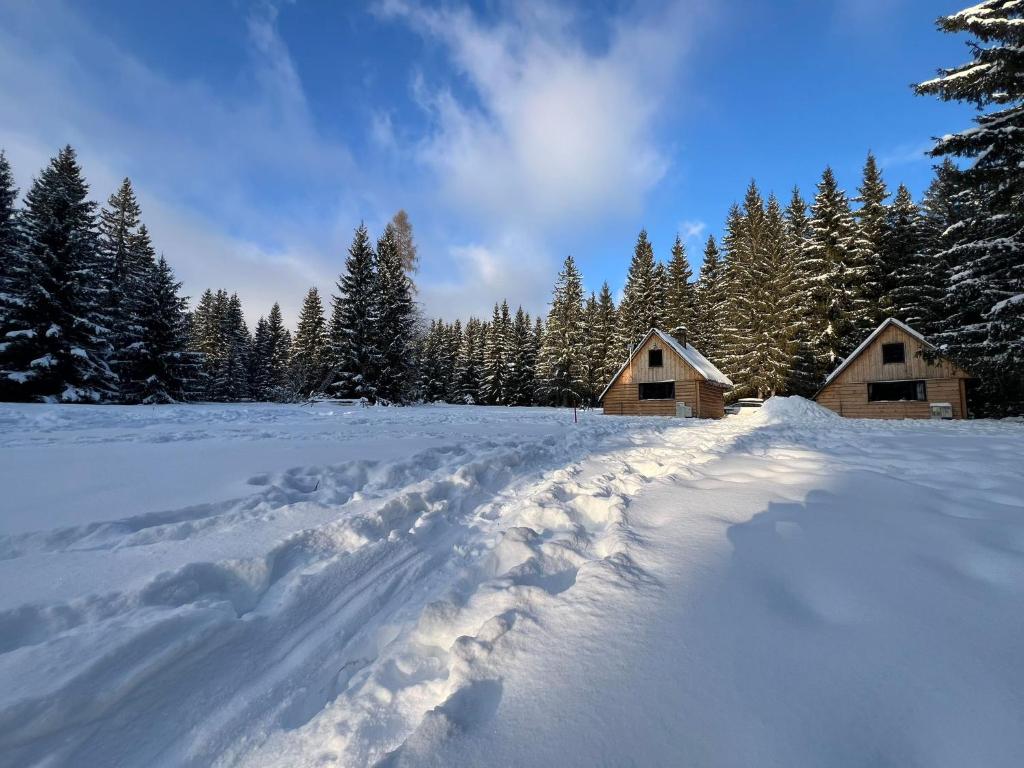 a snow covered path in front of two wooden huts at Pod Horou a za Potokom, Podbanské in Pribylina