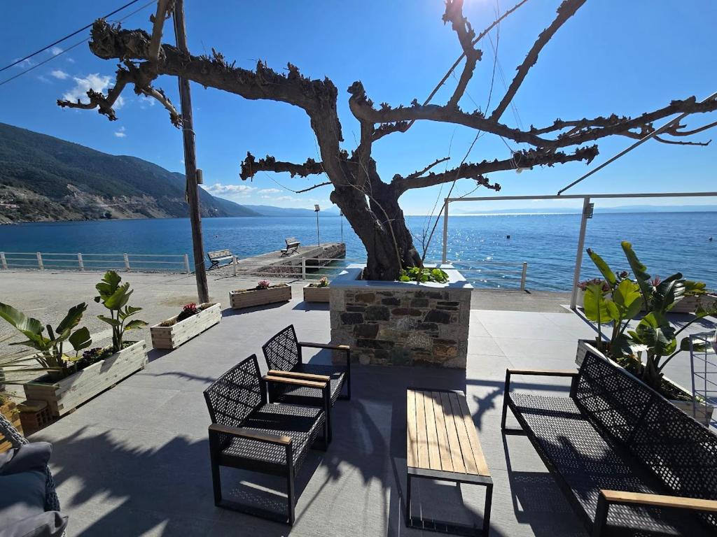 a group of benches sitting next to a tree at Ilia Suites "Thalassa" in Ilia