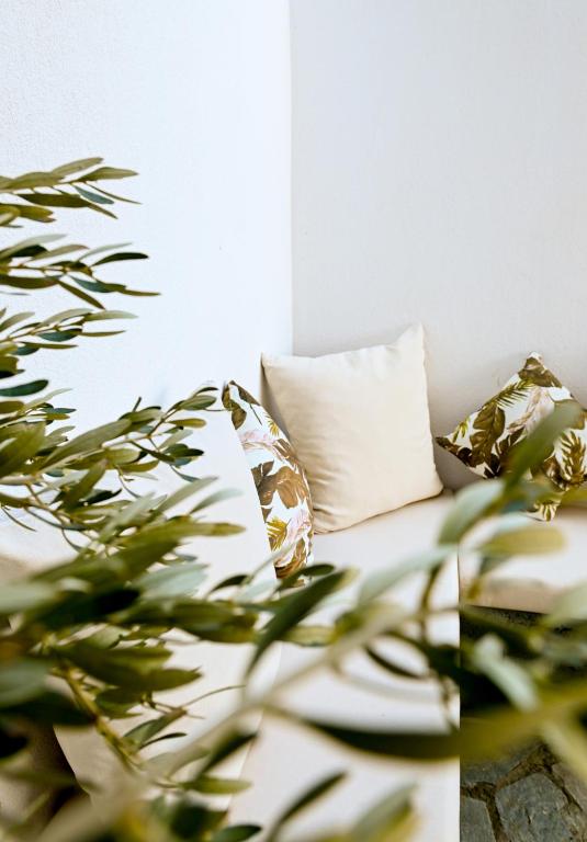 a white couch with two pillows and a plant at Oleander Garden in Alexandroupoli