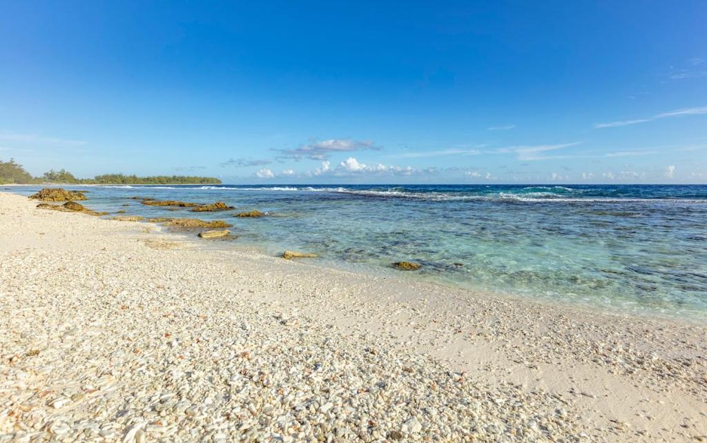 Fare Re'are'a, accès privé à la plage ET proche de la plage de Tema'e, Moorea - photo 10 - Moorea, Polynésie