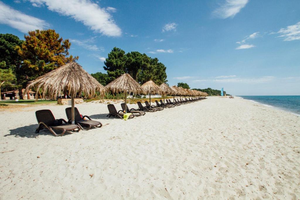a row of straw umbrellas and chairs on a beach at Vignale Resort in Ghisonaccia