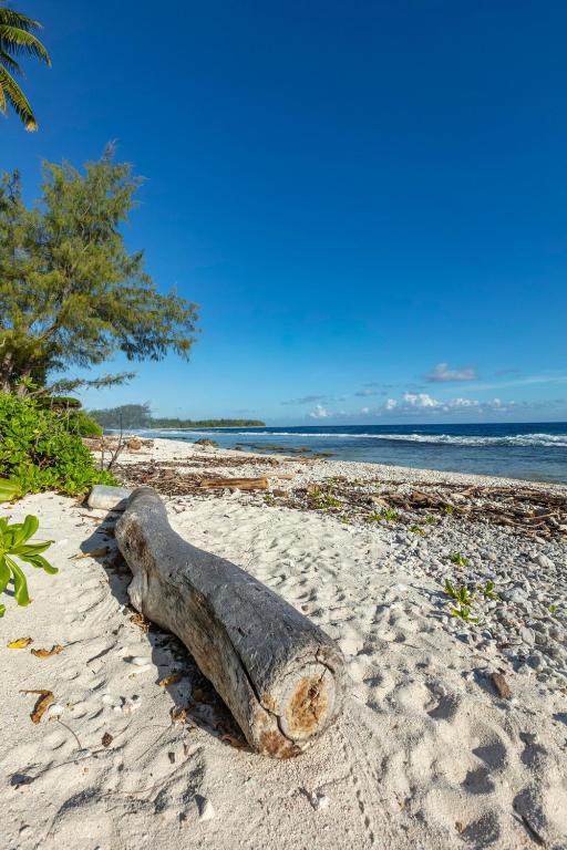 Moana - Bungalow proche de la mer et de la plage de Temae - photo 10 - Moorea, Polynésie