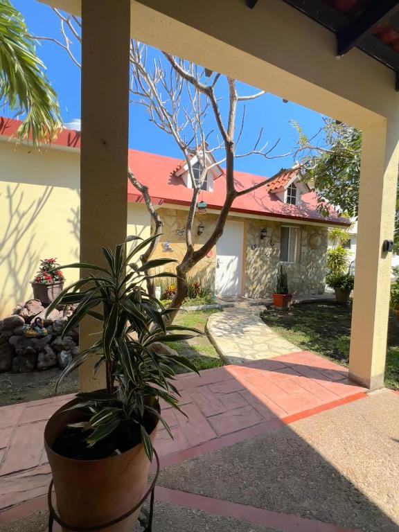 a house with a potted plant on a patio at Finca Nona's, Naturaleza y playa in Ciudad Madero