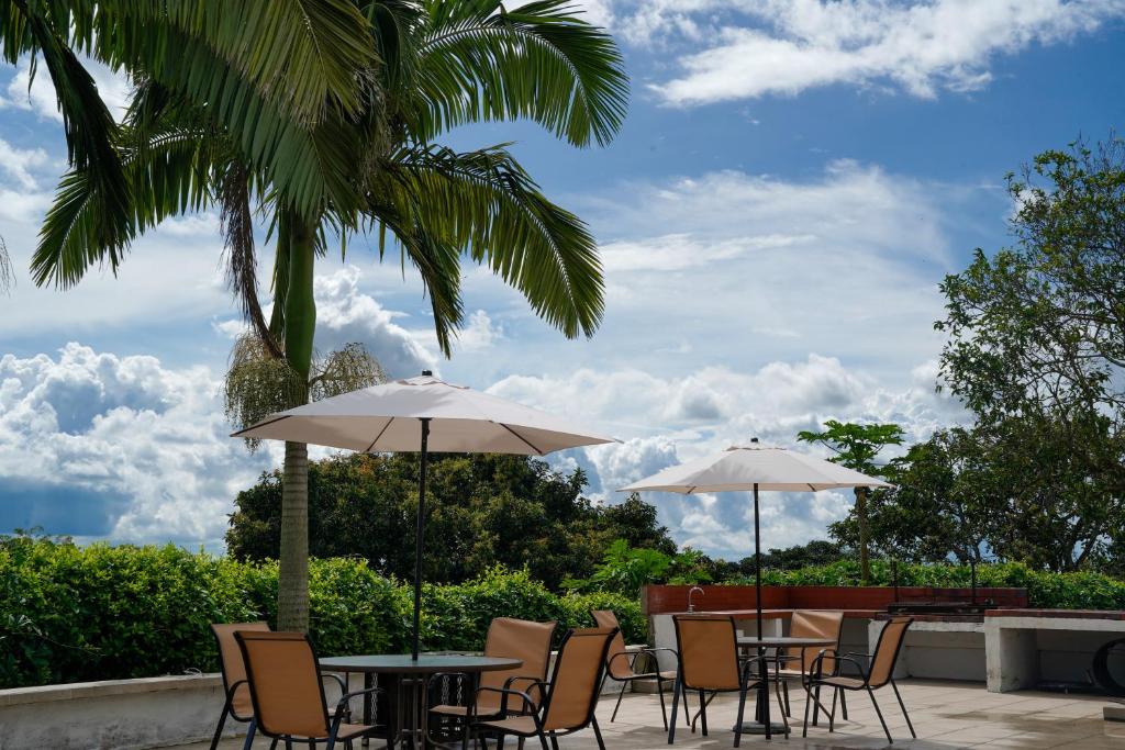 Finca La Coqueta Coffee Farm Stay near Filandia