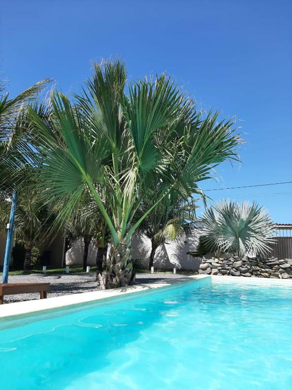 a palm tree sitting next to a swimming pool at Pousada Casa du Soleil Camocim in Camocim