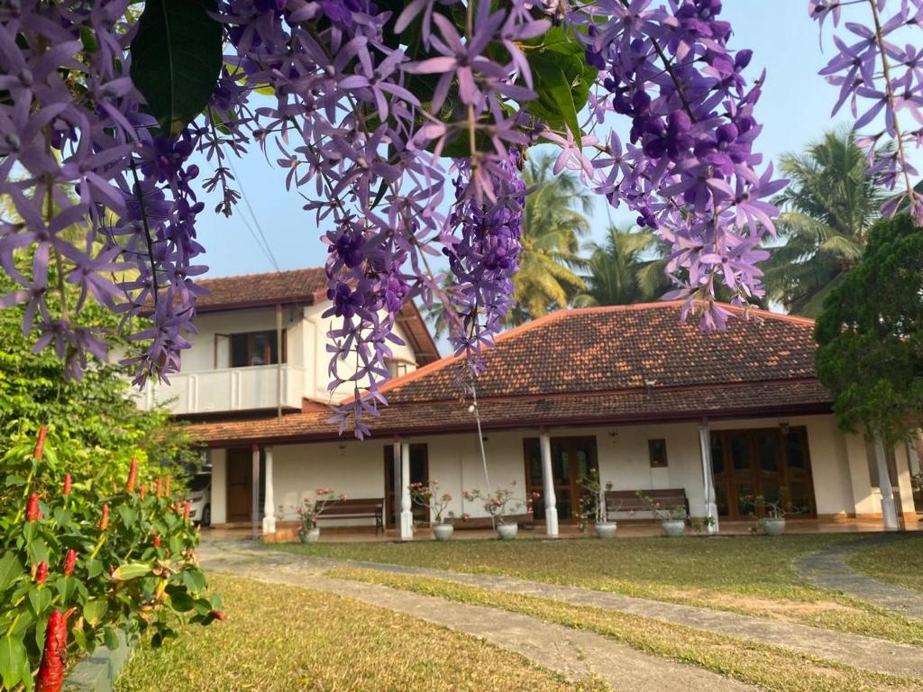 a house with purple flowers in front of it at 220A Green garden in Kadawata