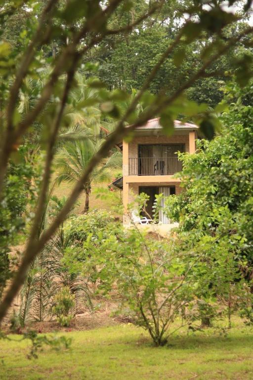 a small house in the middle of a forest at Finca Kapok tree in Miramar