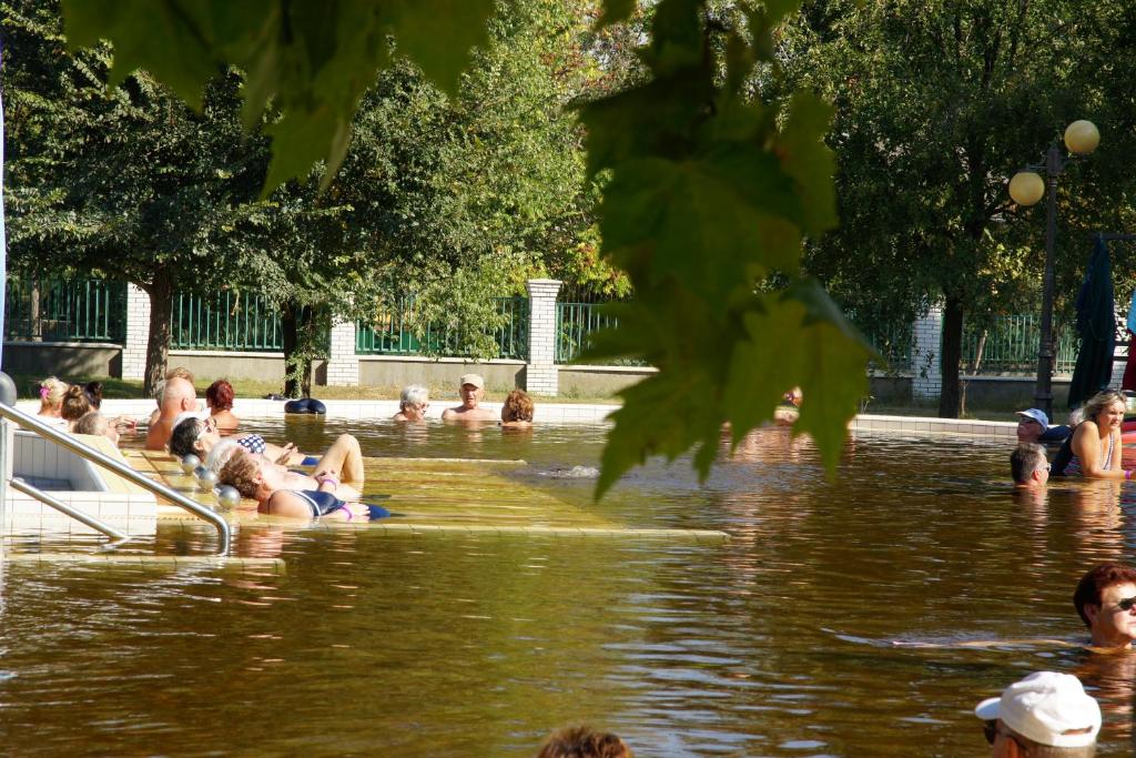 Fotografia z galérie ubytovania Solaris Apartman&Resort v destinácii Cserkeszőlő