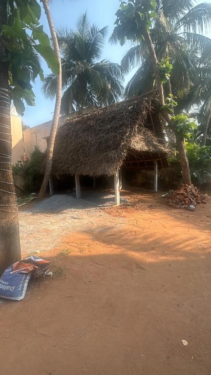 a hut with a straw roof and palm trees at Bamboo in Kuilapayam