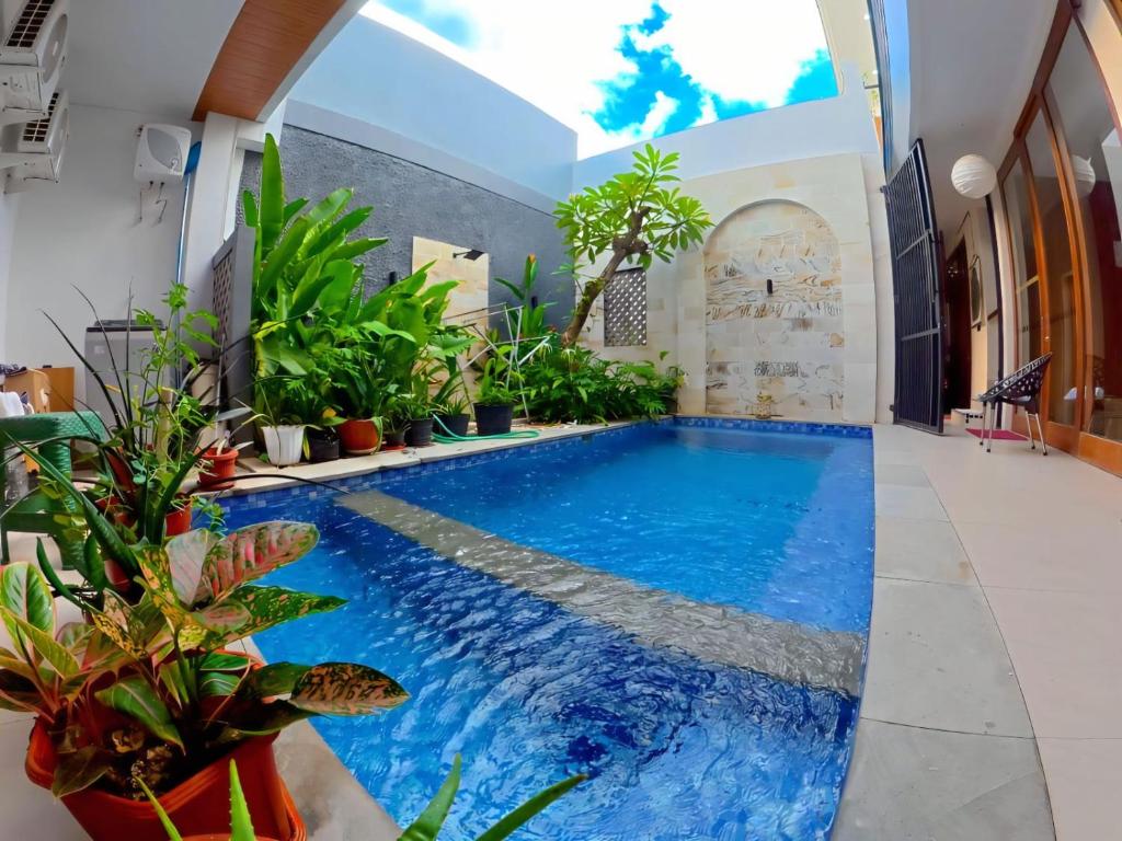 a swimming pool in a house with blue water and plants at Best Value Room Sanur Walk to Beach - NVB in Sanur
