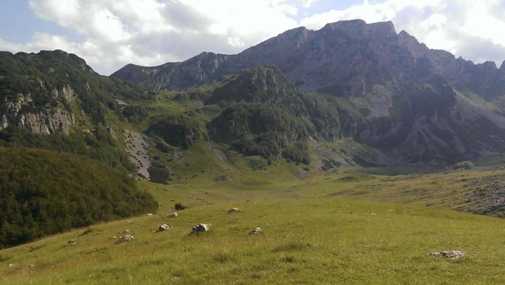 a group of animals grazing in a field with mountains at Holiday Home Stella in Žabljak