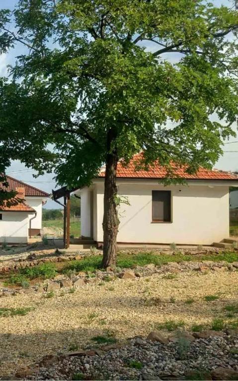 a house with a tree in front of it at Etno Vila Ognjilo in Kragujevac