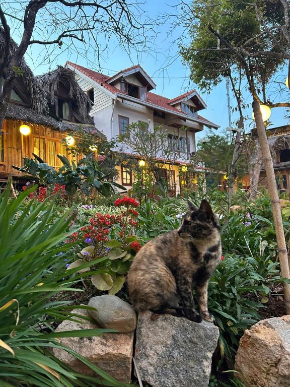Đà Lạt Củi Homestay - Çift Kişilik Oda - Ortak Tuvaletli