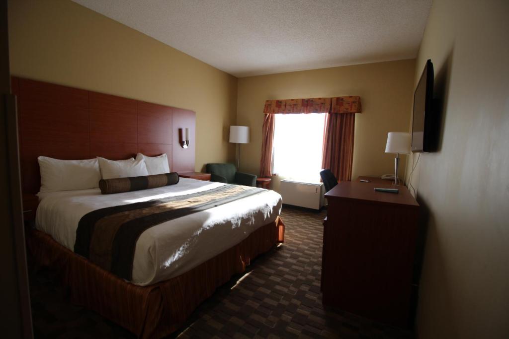 Quality Inn & Suites - King Room