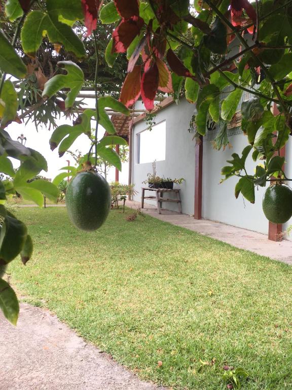  Casa Flor