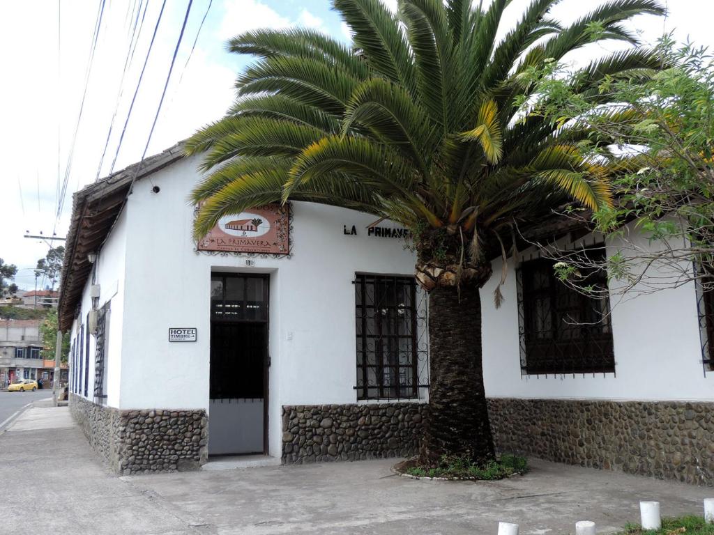 una palma di fronte a un edificio bianco di Hotel La Primavera a Riobamba