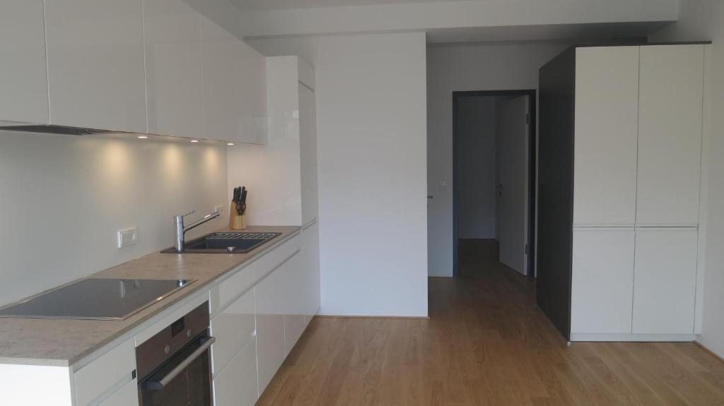 Kuchyň nebo kuchyňský kout v ubytování Ferienhaus Ritter