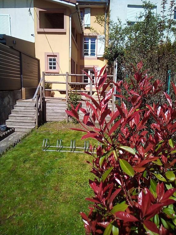 a red bush in the yard of a house at L'OASIS maisonnette centre ville 3 chambres terrasse espace vert privé parc sainte croix center parc 20 minutes in Sarrebourg