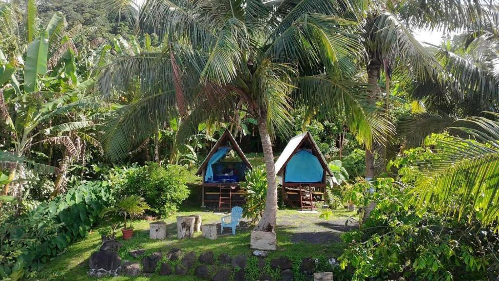 Ohana Beach Hostel Bungalows & dortoir - Bungalow Mit Meerblick