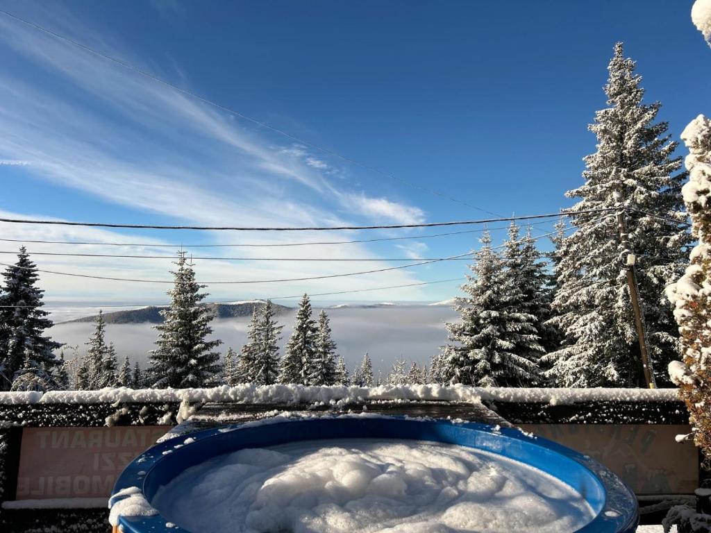 a tub filled with snow in front of trees at Pensiunea Alpin SPA in Ranca