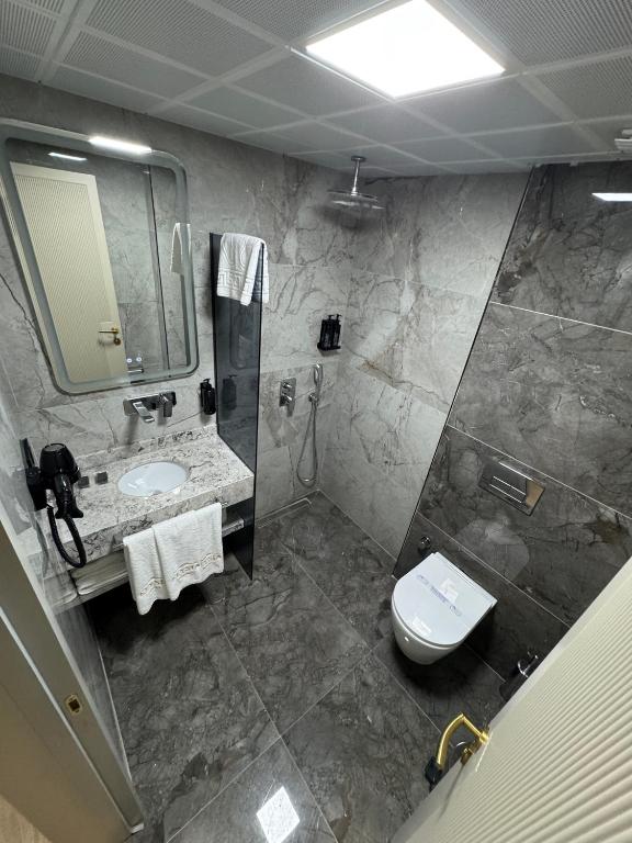 a bathroom with a sink and a toilet and a mirror at Elysia Plus Hotel in Istanbul