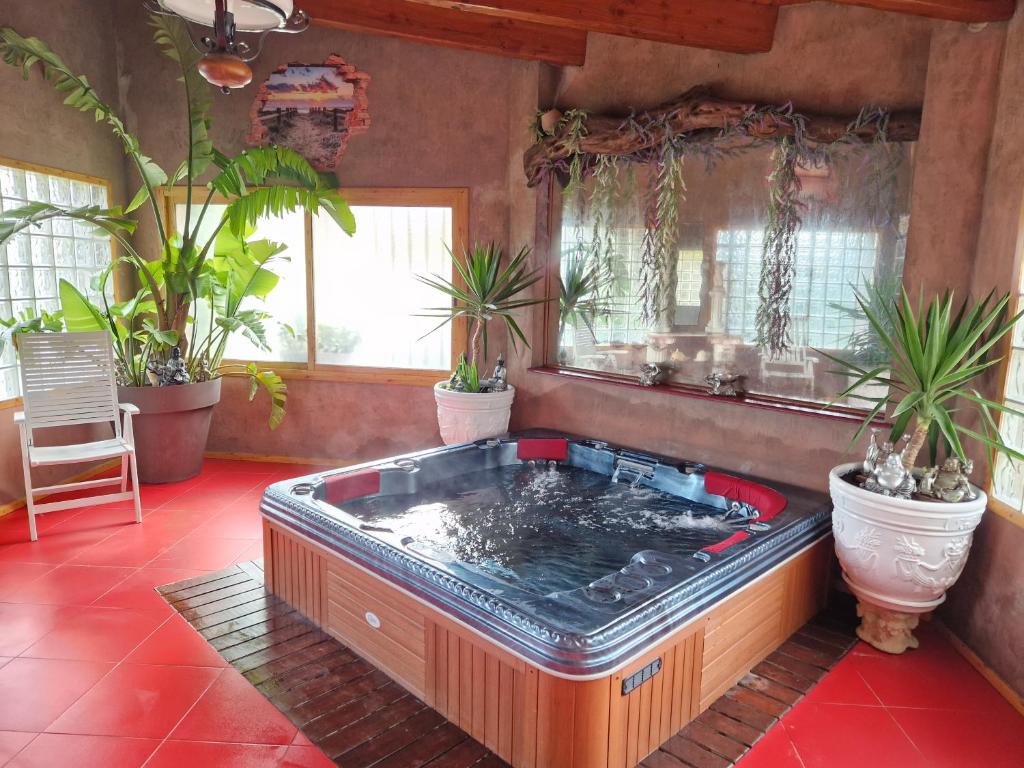 a hot tub in a room with potted plants at Lo Racó de Peret in Camarles
