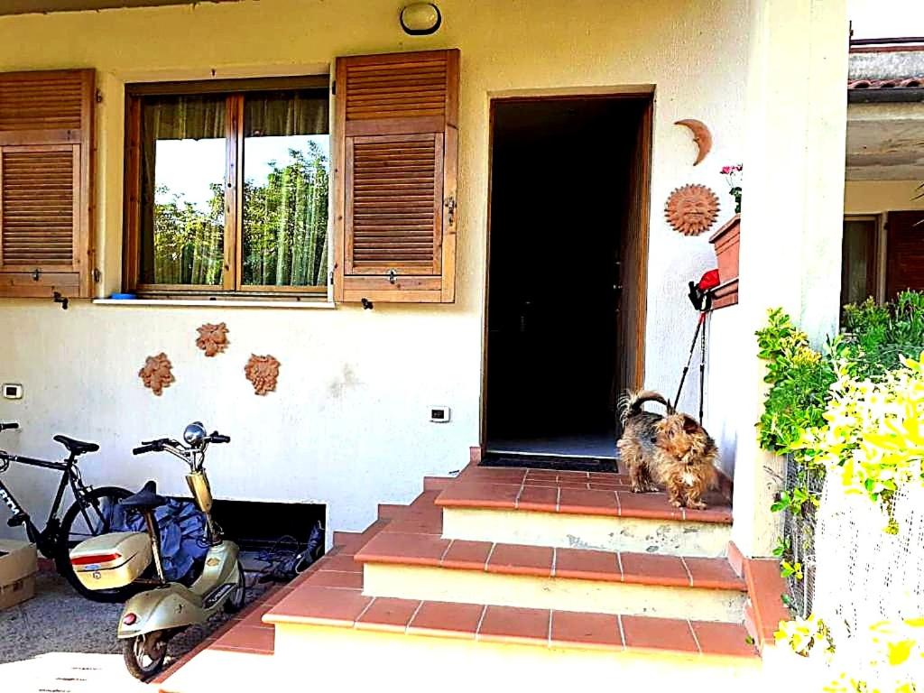 a dog sitting on the porch of a house with a scooter at Affitta Camere di Berenice in Porto Azzurro