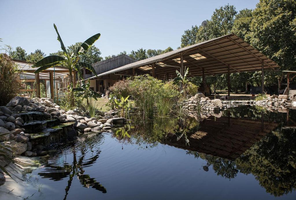 a pond in front of a building with a roof at Hangar Project in Saint-Michel-Escalus