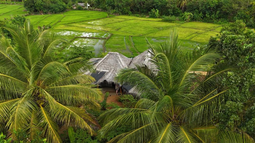 ภูมิทัศน์ธรรมชาติใกล้วิลลา
