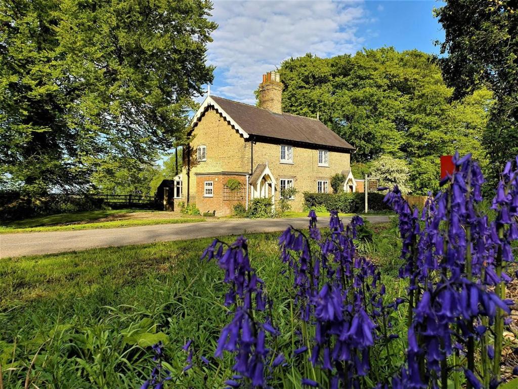a house with purple flowers in front of it at 2 Bed in Alford oc-77637 in Rigsby