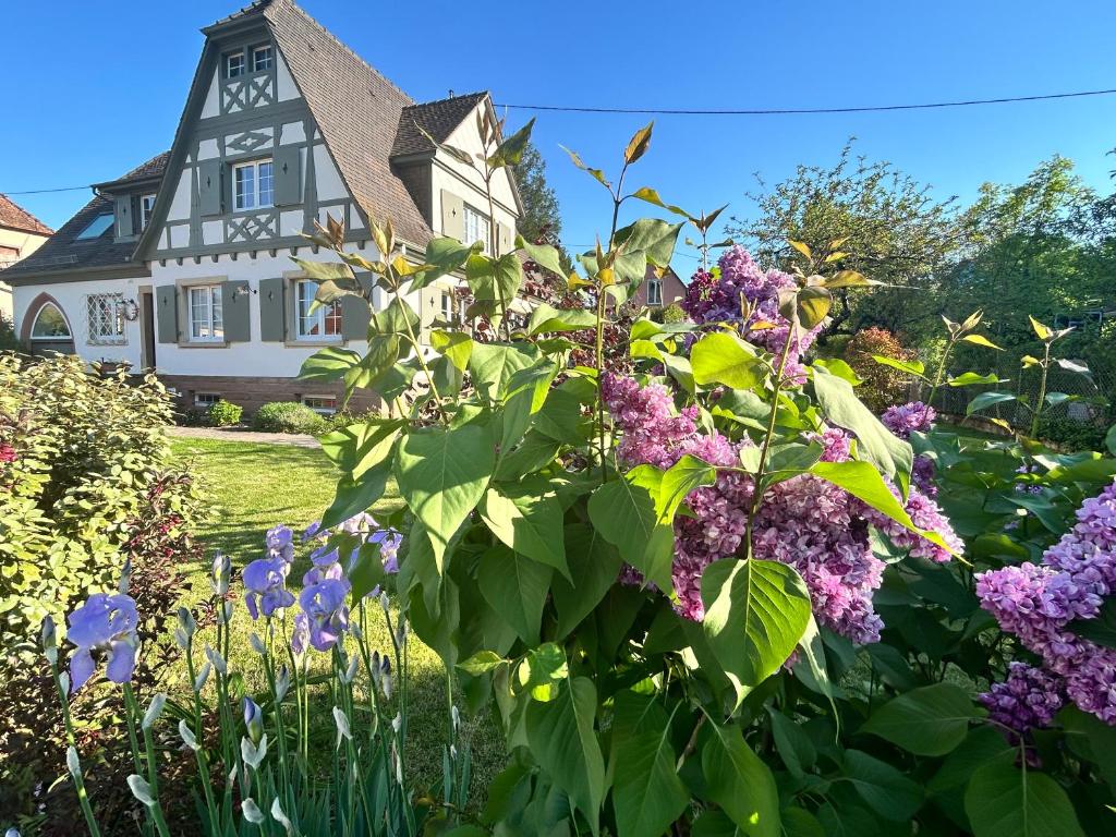 a house with a garden with purple flowers at Le Hêtre Rouge - Écureuil et Geai Charme & Spa Alsace in Barr