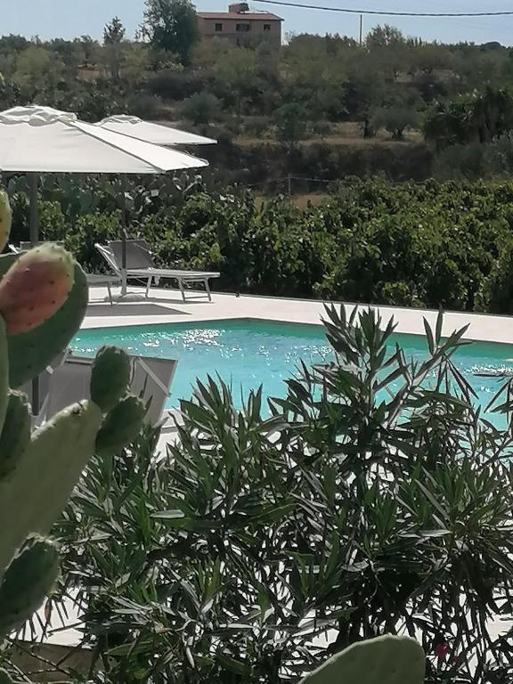 Relais Palmento 1866 Torre Favara - Villa Con Piscina Privada