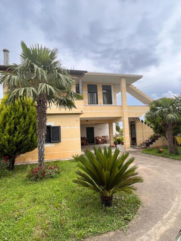 a house with two palm trees in front of it at Vila Palma in Draç