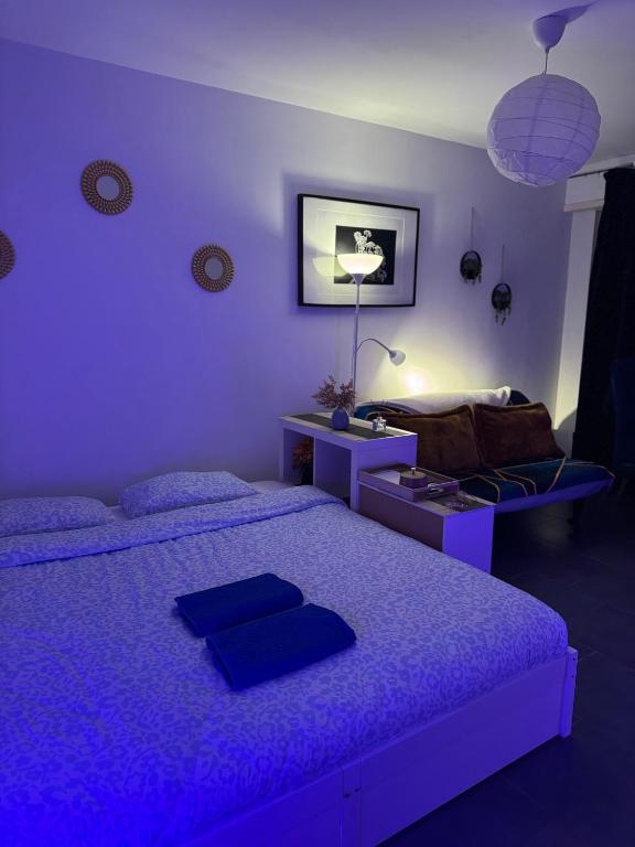 Studio lumineux proche centre Mulhouse – photo 1