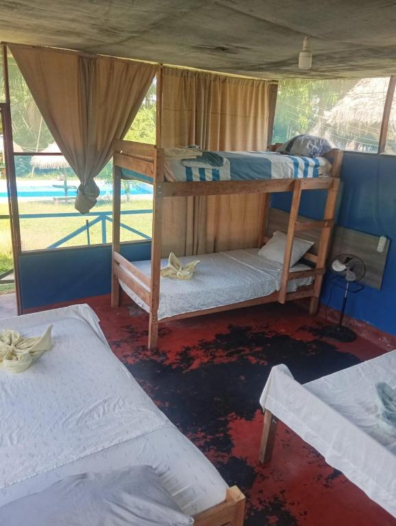 two bunk beds in a room with a window at Amazon Macambo Lodge in Iquitos