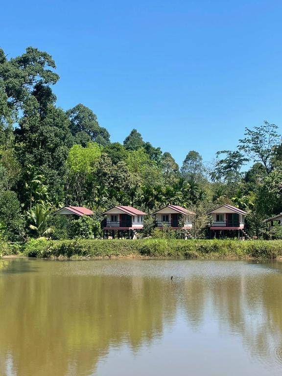 a row of cottages next to a body of water at Wildnest House in Ko Yao Noi